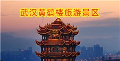 www.luwangtong.cn