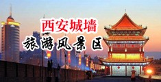 骚货被操的免费视频网站中国陕西-西安城墙旅游风景区